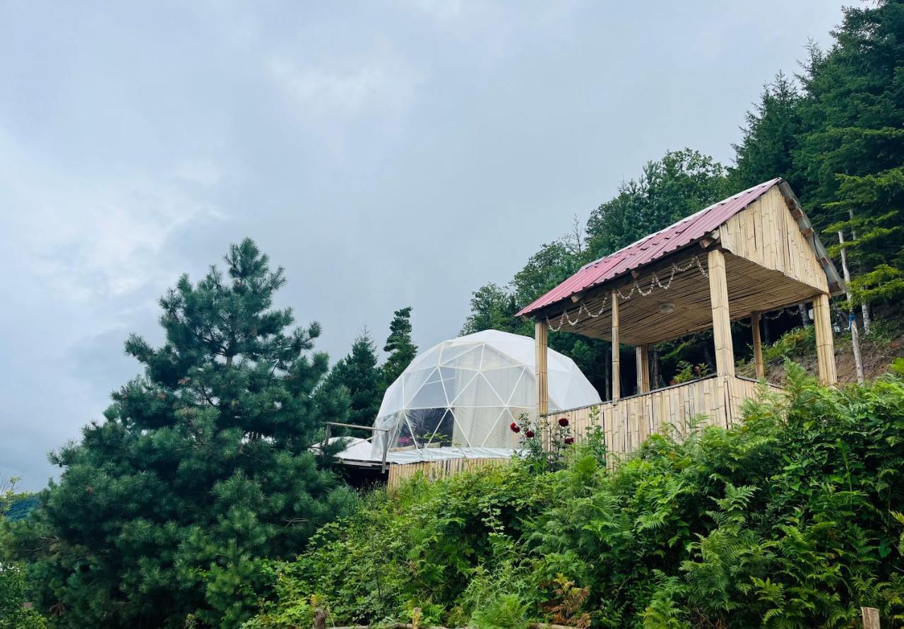 Paradise Inn Gegelidzeebi Luaran gambar